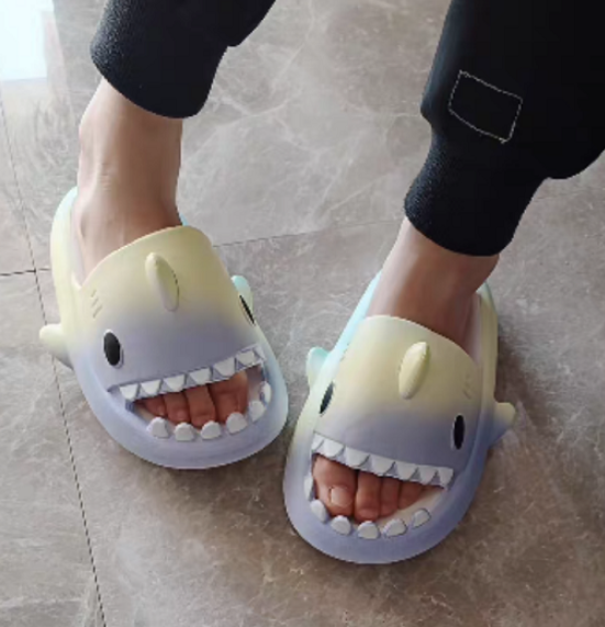 RainbowShark Slippers
