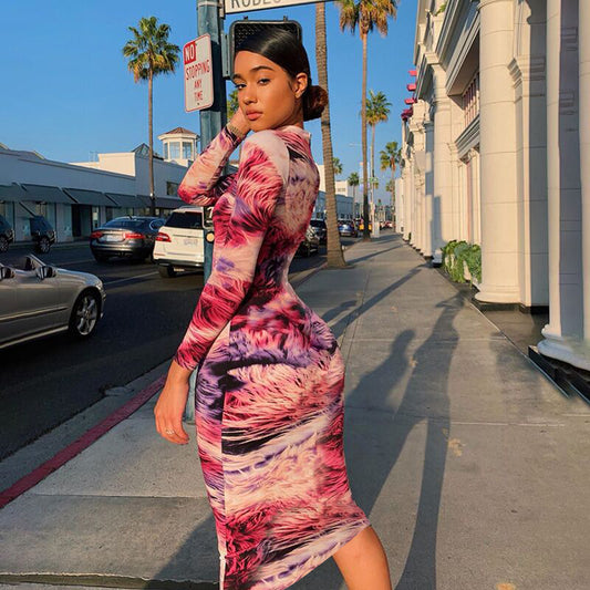Printed Long Sleeve Round Neck Dress